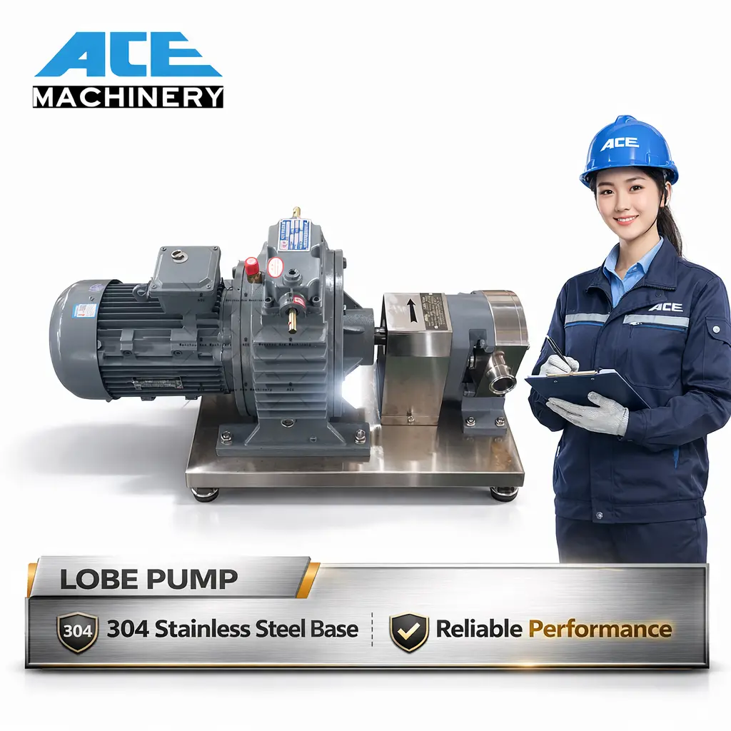 Front view of sanitary lobe pump